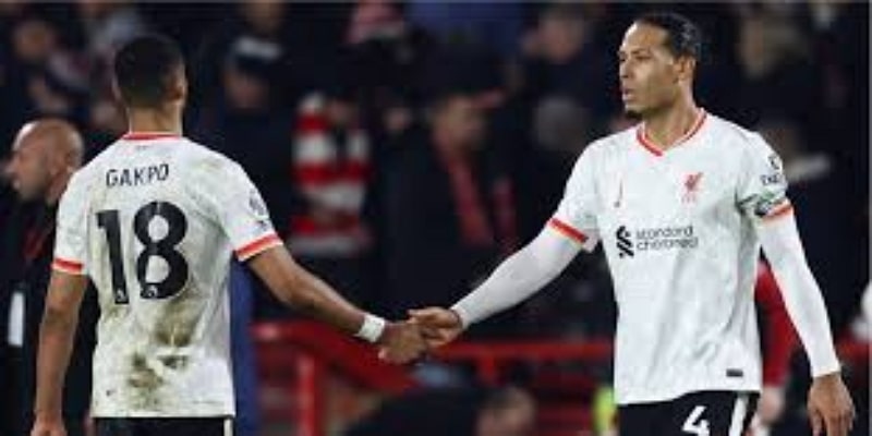 拜仁紧盯帕利尼亚- 爱游戏体育市场观察- 爱游戏体育