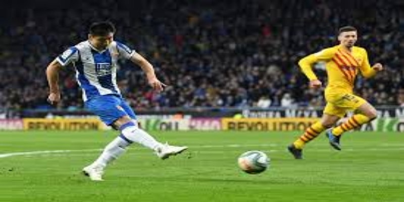 荣誉室全面对比与欧战表现- 爱游戏体育